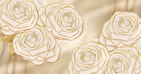 Нежные розы