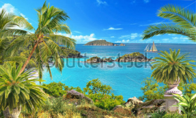 Тропический пейзаж