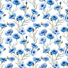 Фон из васильков