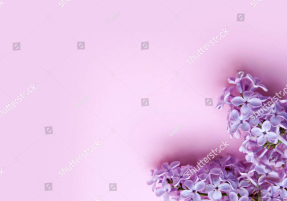 Сиреневый фон