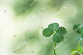 Листок клевера