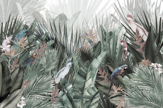 Птицы в тропиках