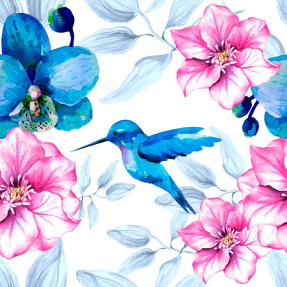Цветы и колибри