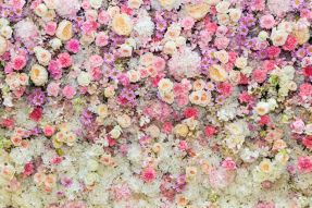 Мелкие розы