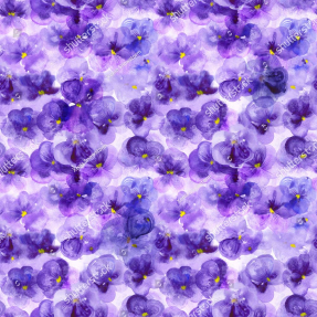 Акварельные анютины глазки