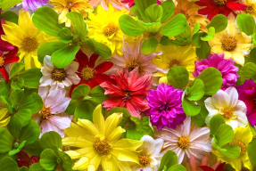 Панно с цветами