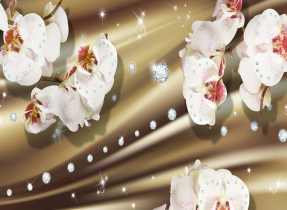 Цветы на стене