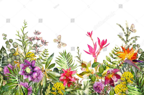 Экзотические цветы