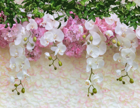 Орхидеи на стене