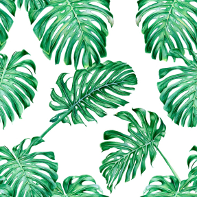 Паттерн листьев монстеры