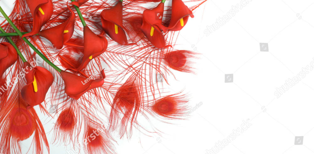 Красные каллы