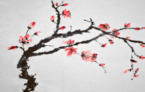 Акварельная сакура