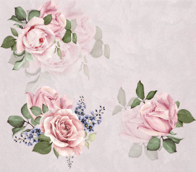 Чайные розы