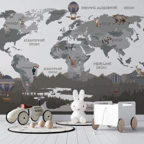 Серая карта мира