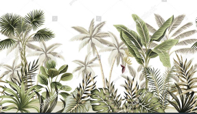 Джунгли в тропиках