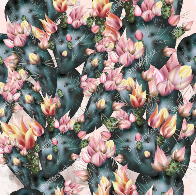 Цветущие кактусы