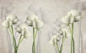 Белые лилии