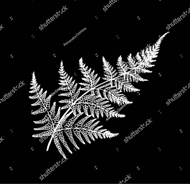 Листок папоротника