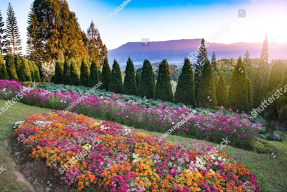 Красивый сад