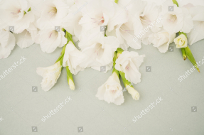 Свисающие гладиолусы