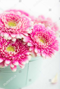 Герберы в букете