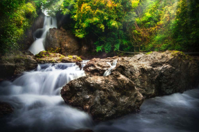 Водопад в лесу