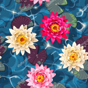 Водяные лилии