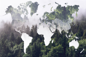 Креативная карта