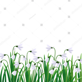 Подснежники