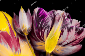 Цветочная композиция