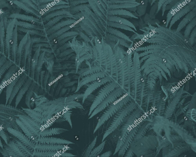 Листья папоротника