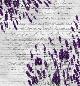 Кирпичная стена с цветами