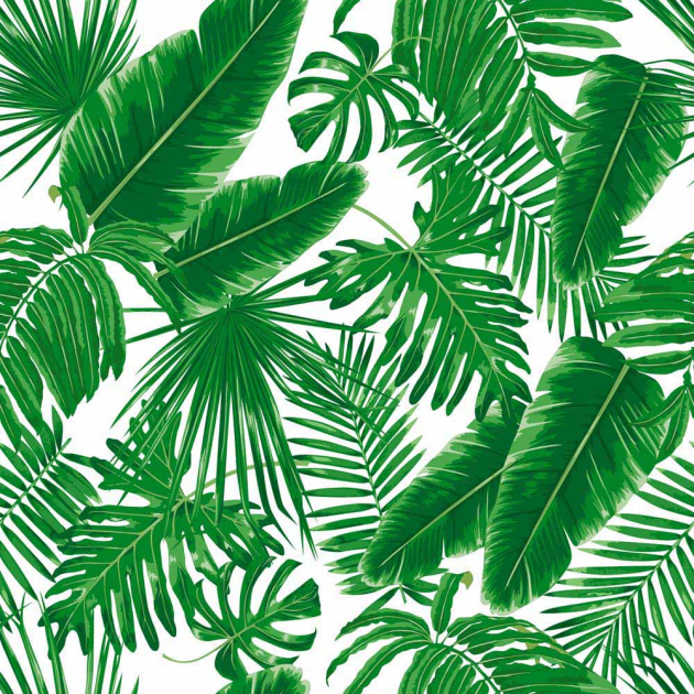 Экзотические листья