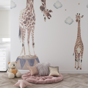 Жирафы в цирке