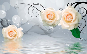 Белые розы над водой