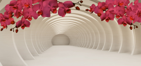 Орхидеи в тоннеле