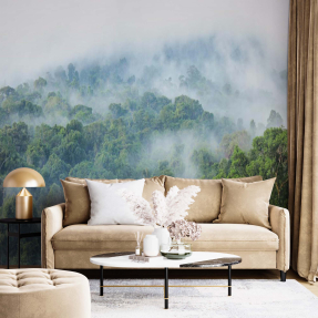 Джунгли в тумане