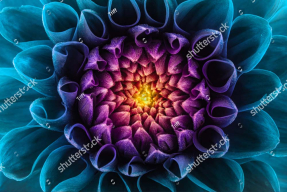 Неоновый цветок