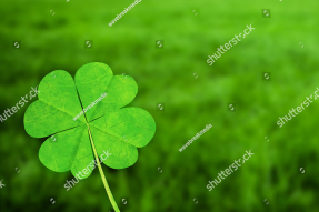Четырехлистный клевер
