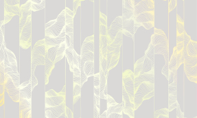 Светлая геометрия