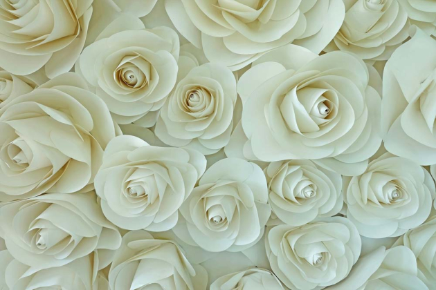 Белые бумажные розы