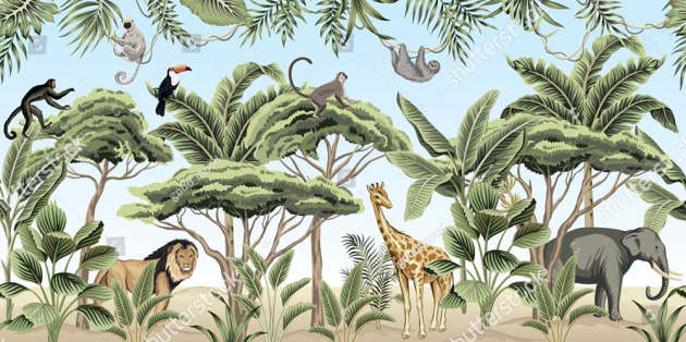 Тропические джунгли