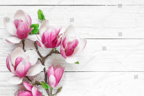 Магнолия на деревянном фоне