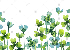 Акварельные листья клевера