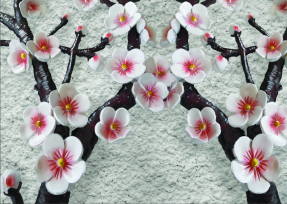 Ветки сакуры