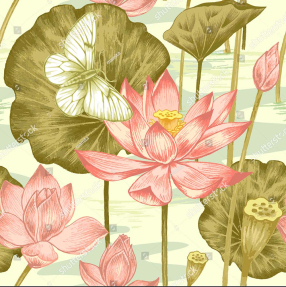 Водяные лилии