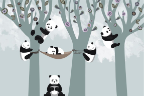 Панды в лесу