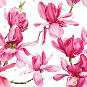 Магнолии