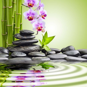 Орхидея и бамбук