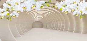 Тоннель с орхидеей